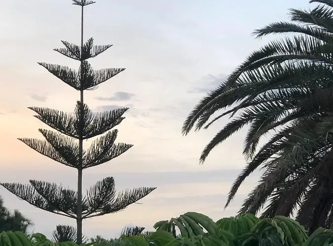 Βίλα Mare Bella Chao Sea View Private Heated Solar Pool Ac Πουέρτο Ντελ Κάρμεν